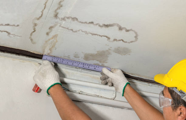 Reliable Mold Remediation contractor in Ninnekah, OK by Water Damage Irwin